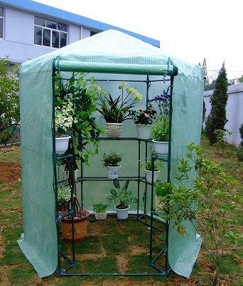 PE green house
