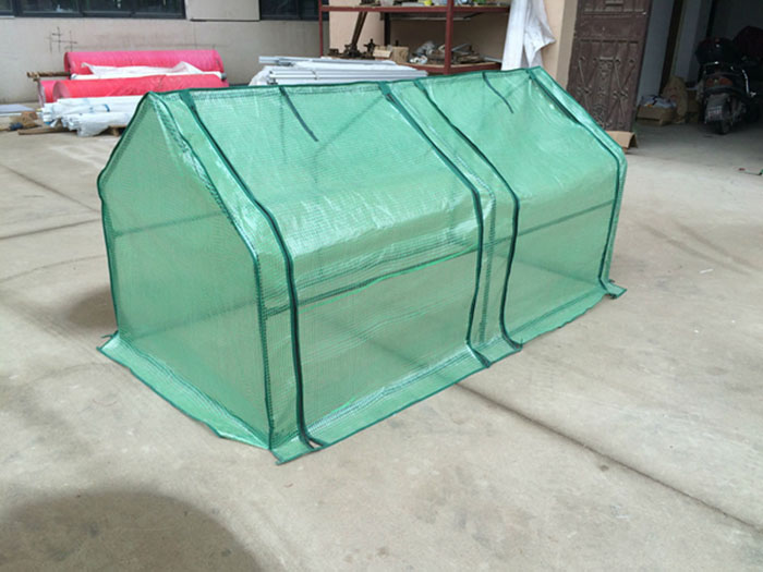 plant grow house