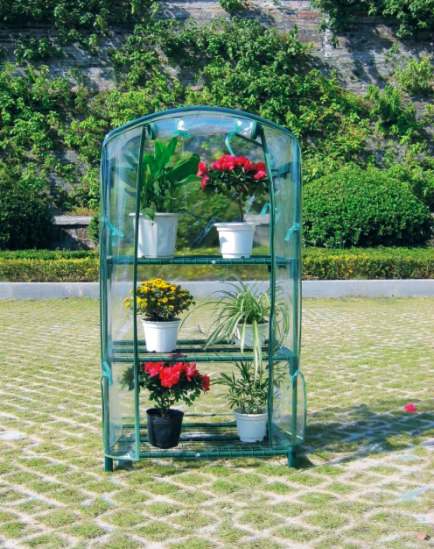 plant grow house