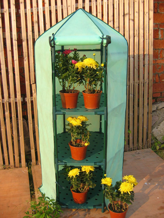 plant grow house