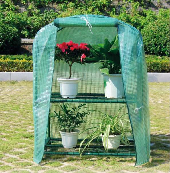 plant grow house